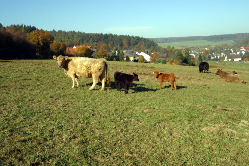 Herbst 2005
